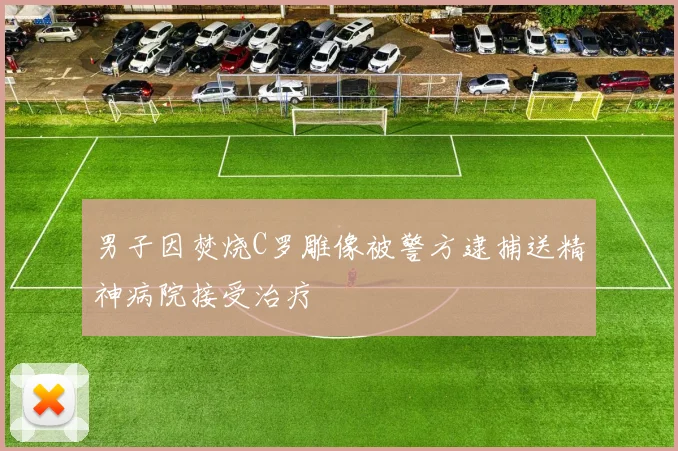 男子因焚烧C罗雕像被警方逮捕送精神病院接受治疗