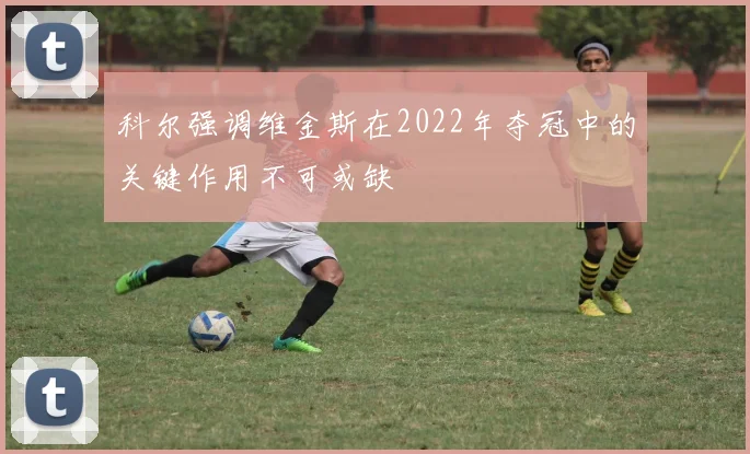 科尔强调维金斯在2022年夺冠中的关键作用不可或缺