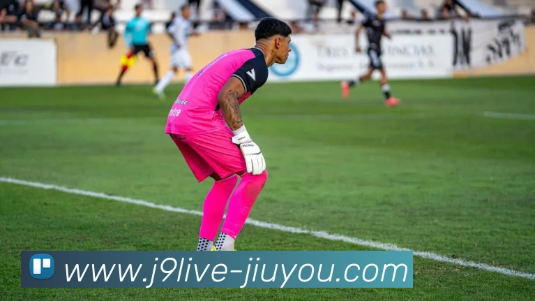 互动解说服务